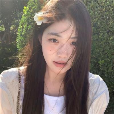 迷蝶